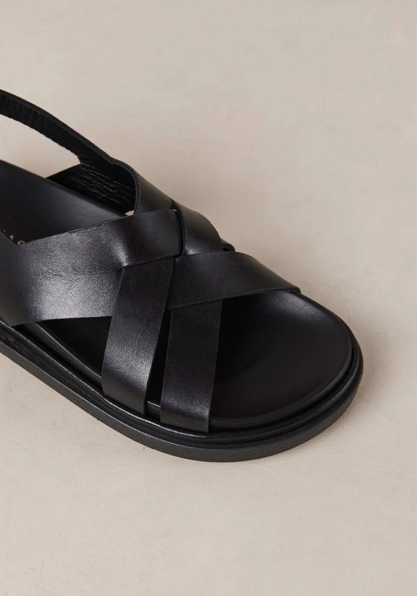 Trunca Padded Slides // Black