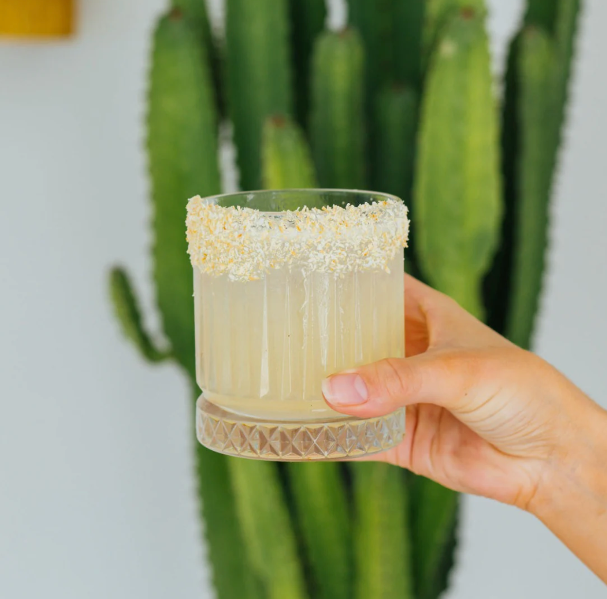 Mr Consistent Coconut Margarita Mixer