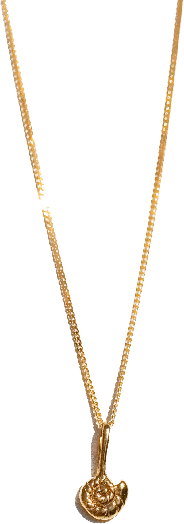 We.ar The Sea Shell Necklace