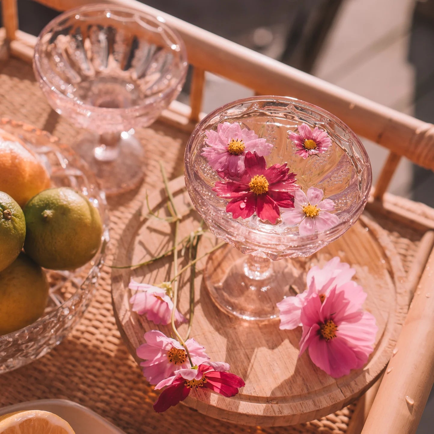 Margarita Set of 2 // Primrose