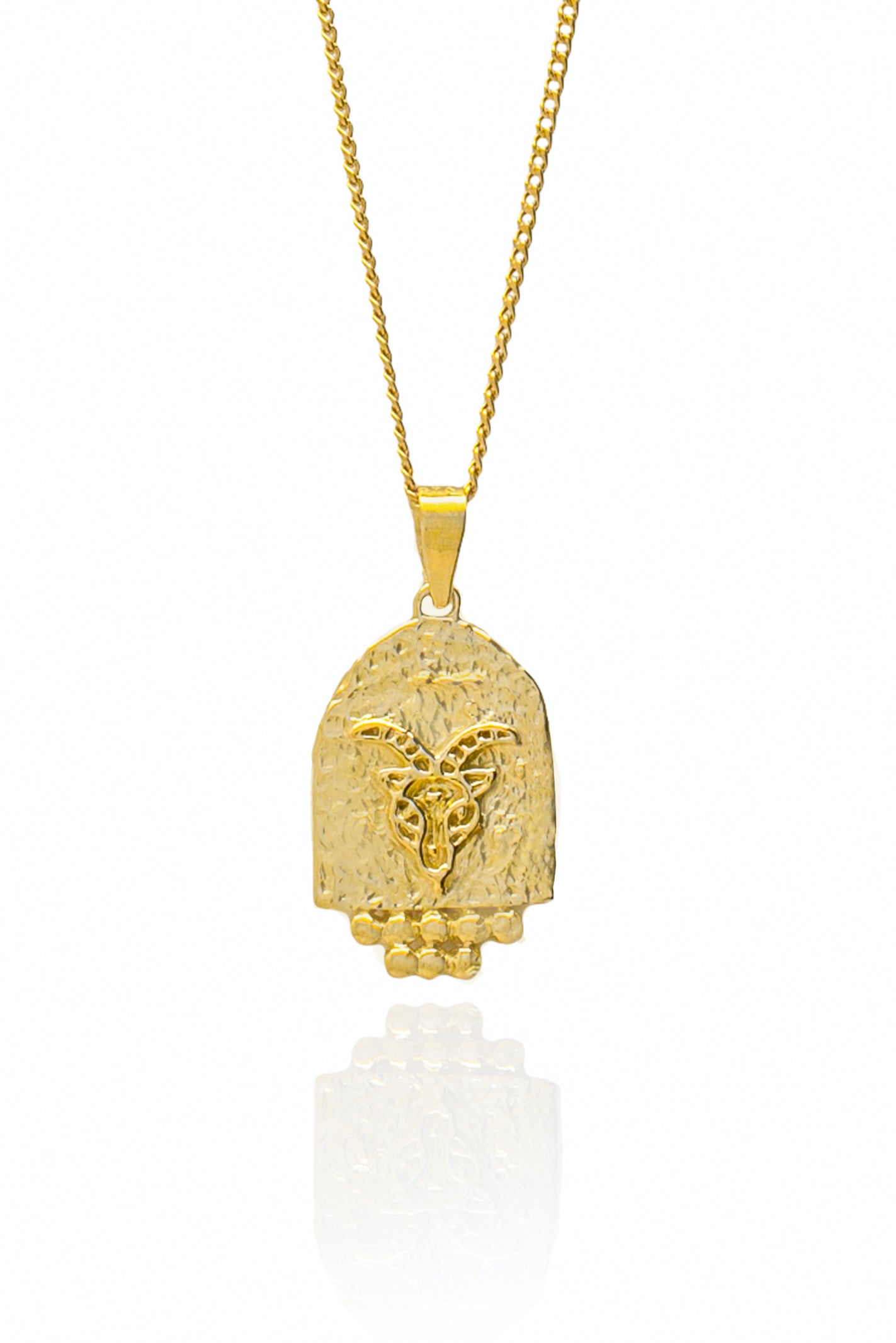 Capricorn Zodiac Necklace // Gold